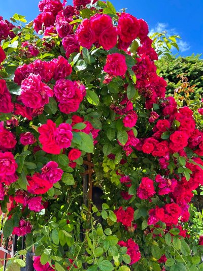 Wojsławickie Klimaty - galeria zdjęć